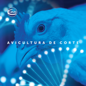 Catálogo - Aves de Corte